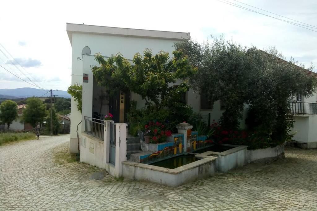 Apartament Casa Da Oliveira Milhão Zewnętrze zdjęcie
